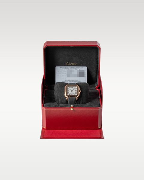 Cartier Santos De Cartier WGSA0019